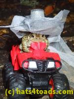 /home//u458753944/public_html/sourcegallery//McKaig Nature Center/2020-10-11/PA110740.JPG